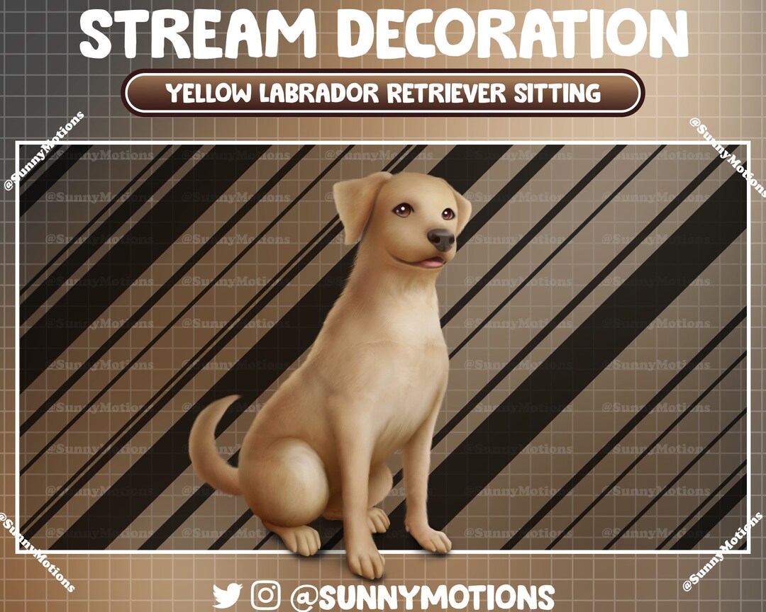 Animated Stream Decoration Animal Soft Plushy Toy: Aesthetic Yellow ...