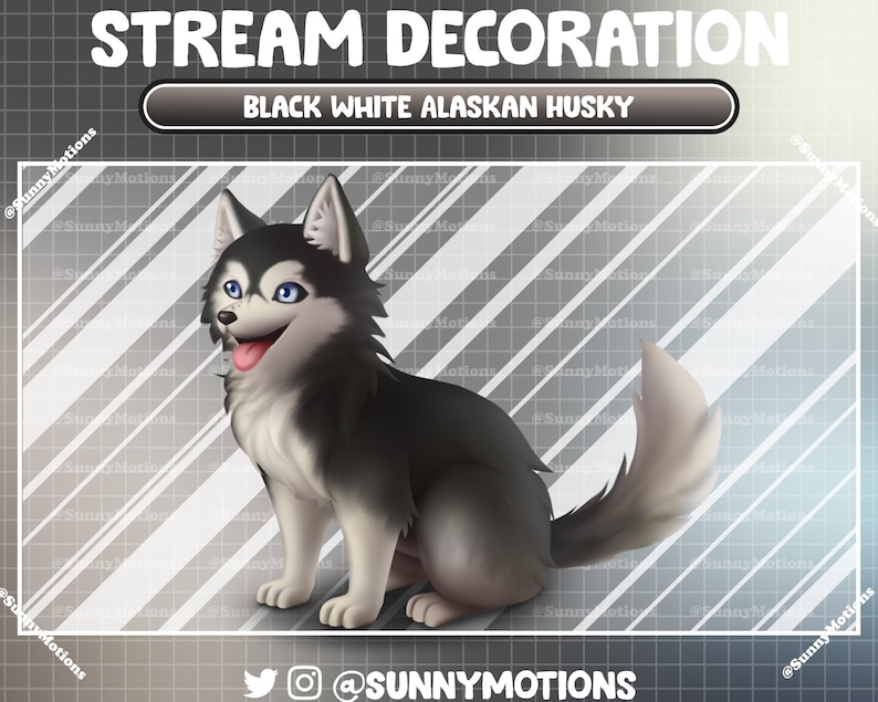 May include: A digital illustration of a black and white Alaskan Husky dog with blue eyes and a pink tongue. The text "STREAM DECORATION" and "BLACK WHITE ALASKAN HUSKY" are at the top. The image includes social media handles.