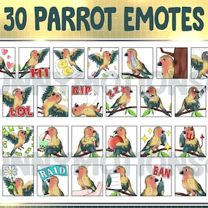 30x Kawaii Green Orange Parrot Twitch Discord Emotes / Forest Bird Emoji Stream / Parakeet Subscriber Badges / Macaw Loyalty Sub Bit Badges