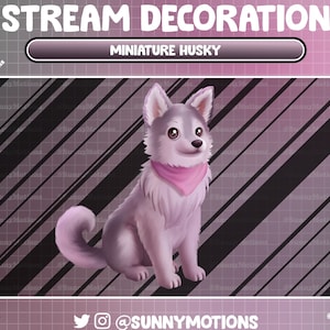 May include: A digital illustration of a gray and white husky puppy with pink ears and a pink bandana. The puppy is sitting on a pink and black striped background. The text "STREAM DECORATION" and "MINIATURE HUSKY" is at the top of the image. The text "@SUNNYMOTIONS" is at the bottom of the image.