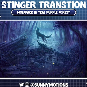 2x Animated Stream Stinger Transition: Wolfpack Family In Blue Purple Dust Forest Night, Tree Trunk, Rock, Groundwater Alerts, Panel, Scene