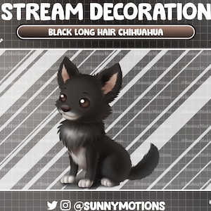 May include: A black and white long-haired chihuahua puppy sitting on a gray and white striped background. The puppy has brown eyes and a white patch on its chest. The text "STREAM DECORATION" and "BLACK LONG HAIR CHIHUAHUA" is at the top of the image.