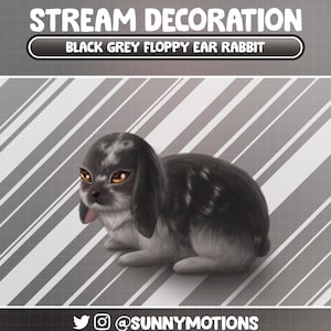 Animated Stream Decoration: Witchy Black Floppy Ear Bunny Twitch Overlay, Aesthetic Rabbit Scene, Easter Night Vtuber-Asset, Alert Webcam
