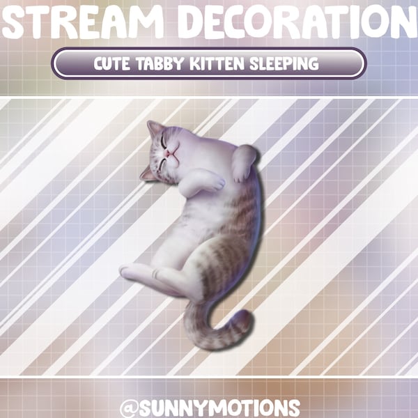 Animated Stream Decoration Animal Tabby Kitten Sleeping / Lofi Aesthetic Cute Kitty / Moon Cat Animation / Meow Add-on Kawaii Twitch Overlay