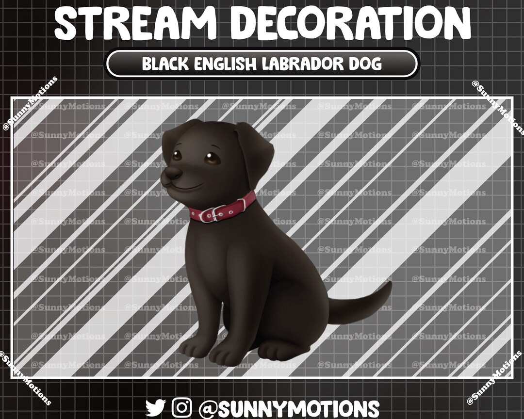Animated Stream Decoration Animal Soft Plushy: Aesthetic Black English ...