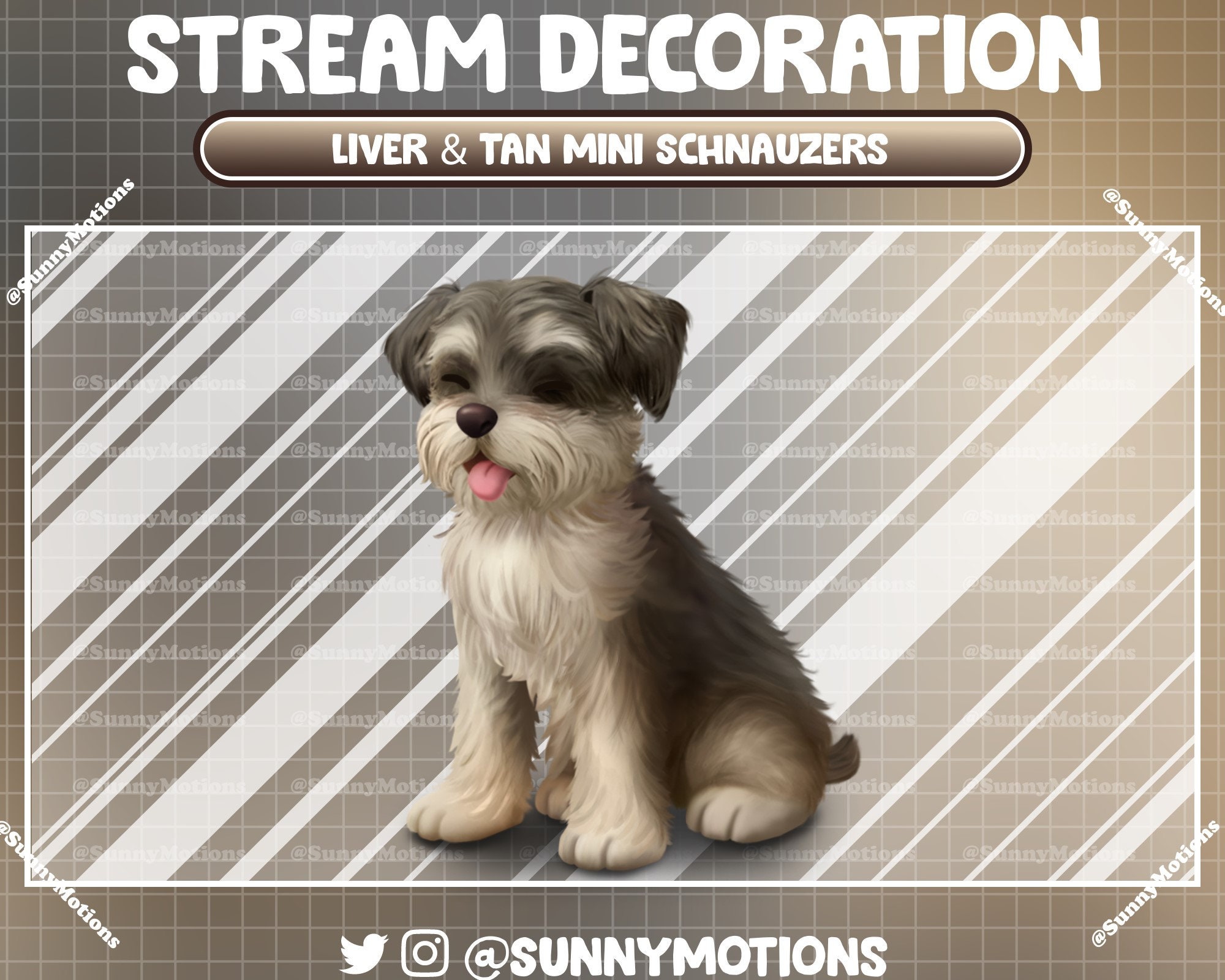 2 Animated Stream Decoration: Cute Liver Tan Miniature Schnauzers Dog ...
