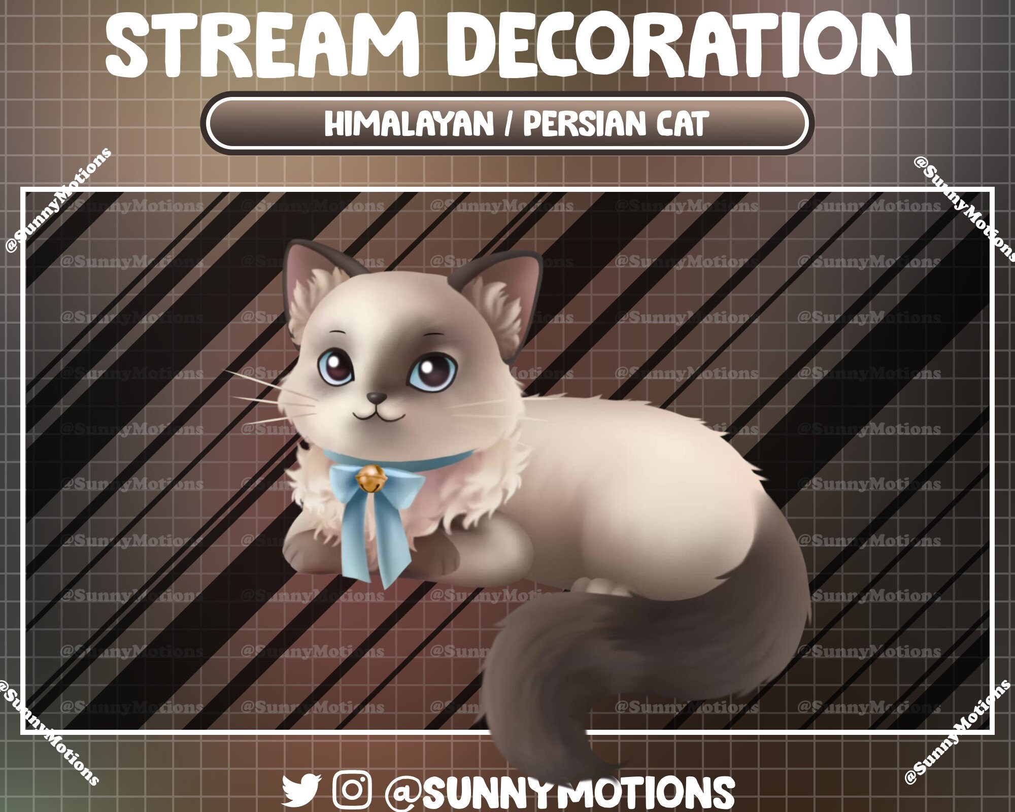 Buy Brown Persian Kitty Online In India India - Main Image