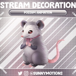 4x Animated Stream Decoration Animal: Lo-fi Aesthetic Grey Possum, Opossum Animation, Large Rats Add-on, Mouse, Mice Kawaii Twitch Overlay