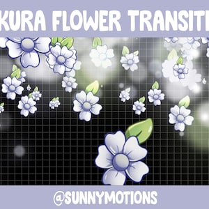 Purple Sakura Flower Animated Twitch Scene Stinger Transition - Kawaii Cherry Blossom / Twitch Overlay / Stream Graphics / Streamer / Stream