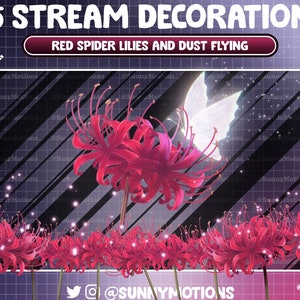 Decoración de secuencia animada: Flor de lirio araña roja estética, Sala de juegos de noche estrellada con raíz floral, Superposición de contracción de polvo ligero volando hacia arriba