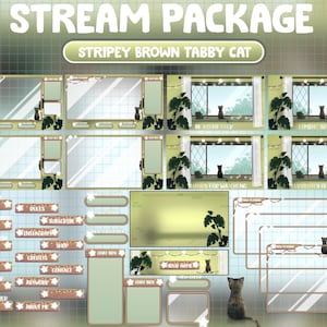FULL ANIMATED Twitch Stream Package / Cute Dark Dreamy Kitty In Warm House Heavy Rainy Day / Overlay Sage Green / Striped Brown Tabby Cat