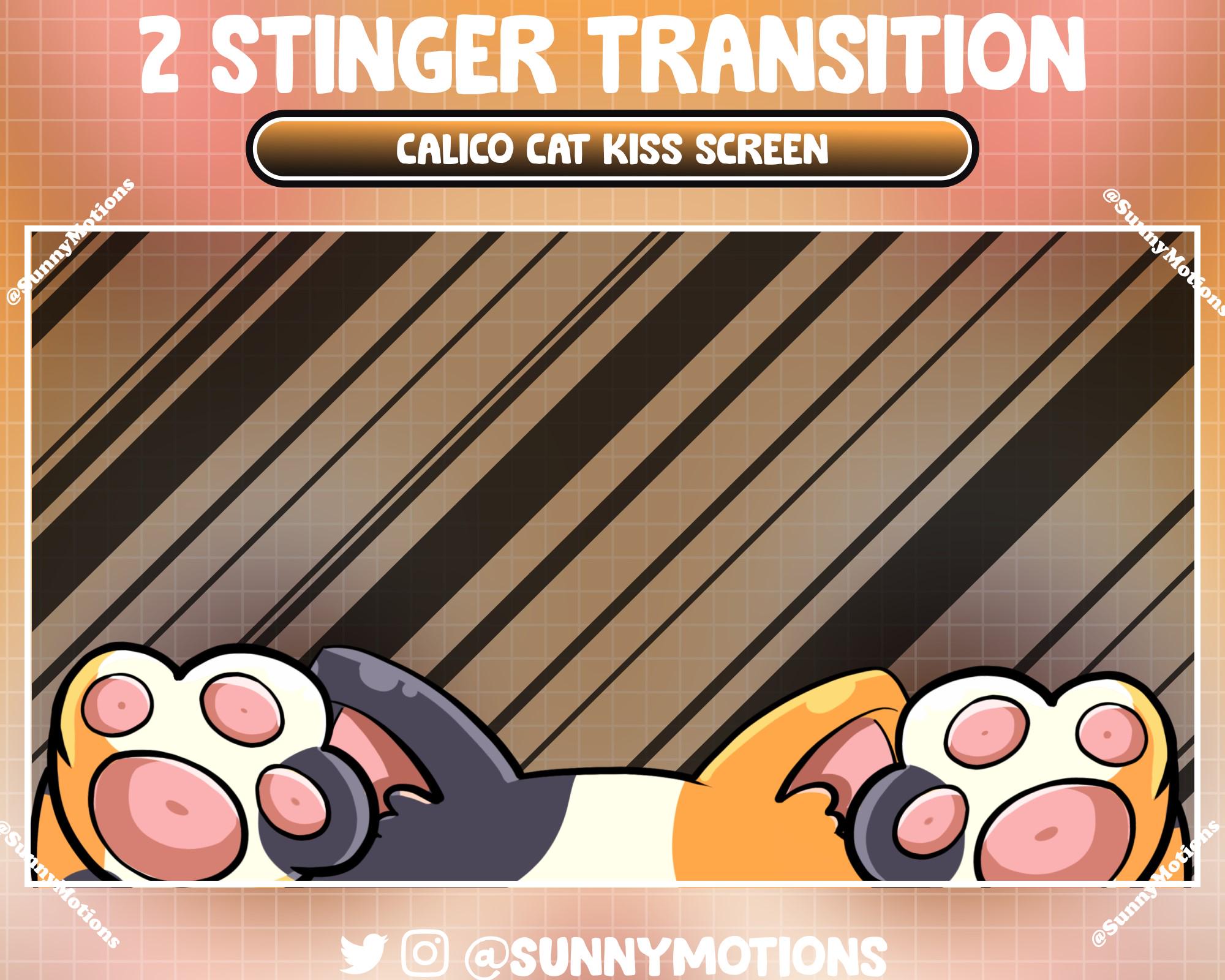 2 Animated Calico Cat Kiss Screen Stream Stinger Transition, Kitten ...