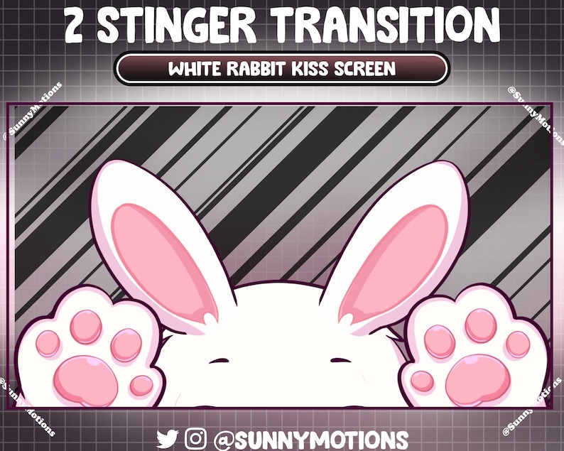 Stream And Rabbit Base 2 Animated White Rabbit Kiss Screen Stream Stinger Transition, Bunny ...