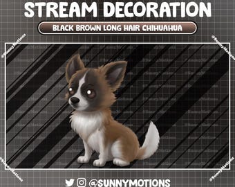 Animated Stream Decoration: Aesthetic Brown Gray Long Haired Chihuahua Sitting, Small Puppy Dog Twitch Overlay, Mexican Puppy Vtuber Webcam