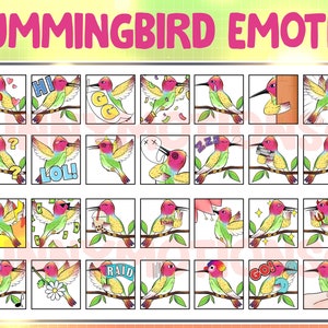 Kawaii Hummingbird Twitch Discord Emotes / Tropic Spring Bird Emoji Stream / Subscriber / Pink Green Yellow Animal Loyalty Sub Bit Badges