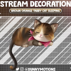 Animated Stream Decoration: Lo-fi Aesthetic Brown Orang Tabby Kitty Sleeping, Kawaii Calico Cat Lover Twitch Overlay Sleek Feline Alert Deco
