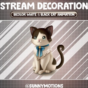 Animated Stream Decoration Animal Soft Plushy Toy / Aesthetic Bicolor White & Black Cat / Tuxedo Tabby / Kawaii Fluffy Kitty Twitch Overlay
