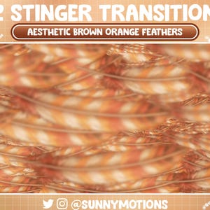 Op de afbeelding: Abstracte achtergrond met een close-up van een wazig beeld van bruine en oranje veren. De tekst "2 STINGER TRANSITION" en "AESTHETIC BROWN ORANGE FEATHERS" is zichtbaar bovenaan de afbeelding.