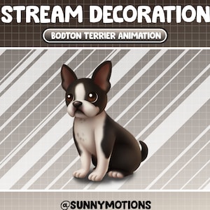 Animowana dekoracja strumienia: słodki zwierzak / estetyczny czarno-biały boston terrier / dodatek do szczeniaka Kawaii Twitch Overlay / amerykański pies gentleman