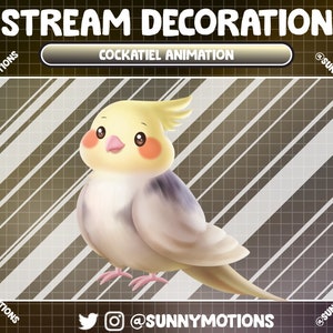 2x Animated Stream Decoration: Cockatiel, Weero, Weiro, Quarrion, Colorful Parrot, Jungle Wild Forest Birds, Kawaii Parakeet Twitch Overlay