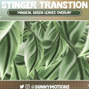 May include: A close-up of green leaves with white veins, with the text "STINGER TRANSTION" and "MAGICAL GREEN LEAVES OVERLAY". The leaves are the main focus, with a blurred background. The bottom of the image has social media icons and the username @SUNNYMOTIONS.