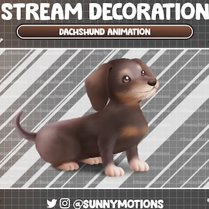 May include: A brown and tan dachshund puppy sitting on a gray and white striped background. The puppy is looking to the right and has a happy expression. The text "STREAM DECORATION" and "DACHSHUND ANIMATION" is at the top of the image.