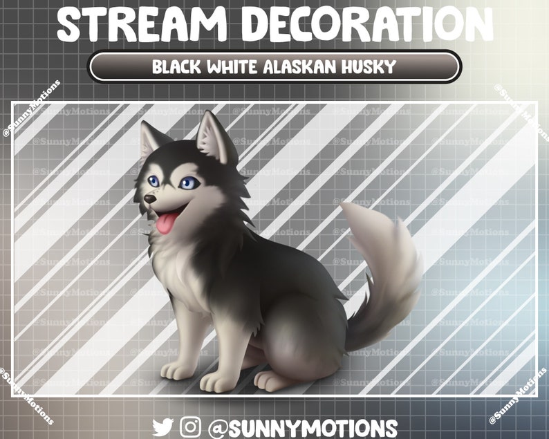 May include: Digital illustration of a black and white Alaskan Husky dog with blue eyes and a pink tongue. The image is labeled "STREAM DECORATION" and "BLACK WHITE ALASKAN HUSKY". The artist's social media handles are also included.