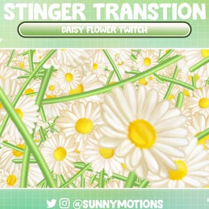 Animierter Stream Stinger Übergang: Süßes Kawaii Blowing White Gänseblümchen, ästhetische Pflanzen Twitch Szenen, Frühlings Gänseblümchen Overlay OBS Vtuber