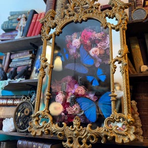 May include: A rectangular wall mirror with an ornate gold-colored frame featuring intricate scrollwork. The glass surface displays a reflection of a vibrant floral arrangement in shades of pink and red, accented by three bright blue butterflies.