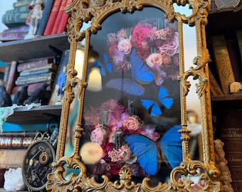 Vintage Mirror Shadow Box Butterfly Insect Art “Versailles”