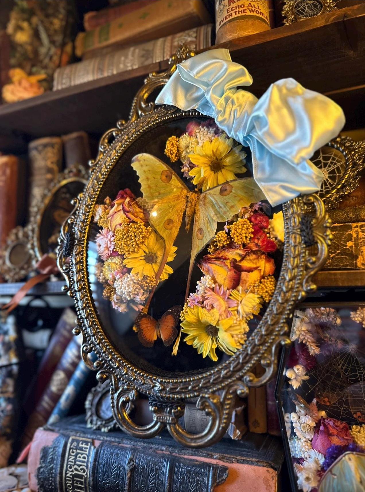 アンティーク風 蝶のフレーム Amazon.co.jp: 蝶のフォトフレーム 蝶の額縁飾り 標本展示枠 蝶々の