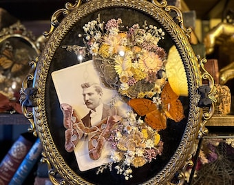 Vintage Bubble Glass Insect Frame “Reminiscence”