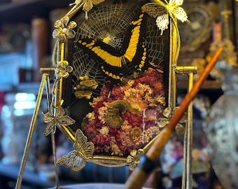 Floating Flat Glass Stand Shadow Box Butterfly Frame “Son amour est comme le soleil”