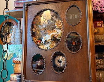 Vintage Shadow Box Insect Art, Beetles, Insects, Orbital web, Skulls, Single Specimens