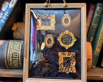 Vintage Bubble Glass single specimen Insect Frame