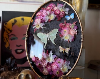 Antique Bubble Glass Butterfly/Moth Frame “Pastel Bijoux POP Art Collection #2"