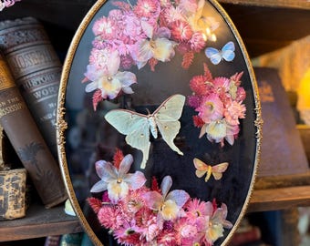 Antique Bubble Glass Butterfly/Moth Frame “Pastel Bijoux POP Art Collection #2"