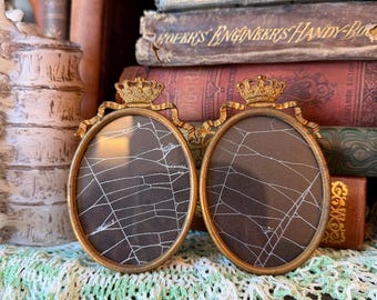 Antique Preserved Orbital Web Filigree Frame