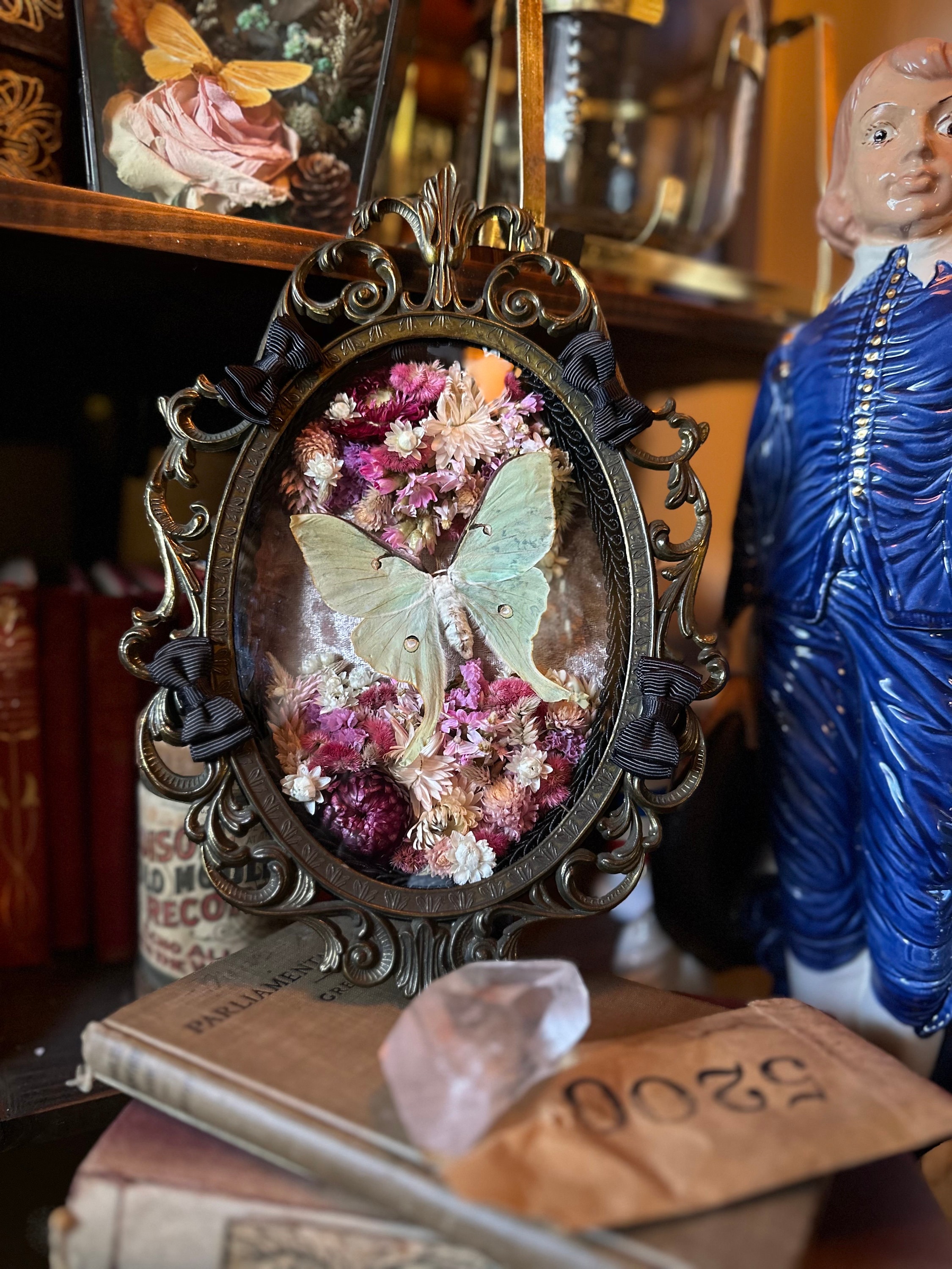 Vintage Bubble Glass Moth Frame “Redamancy”