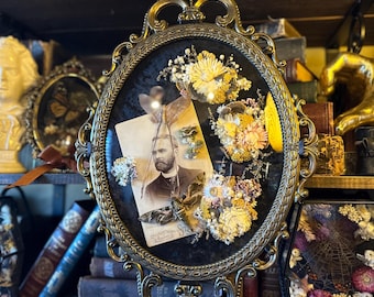 Vintage Bubble Glass Insect Frame “Memoir”