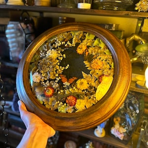 Vintage Bubble Glass Butterfly Frame “Autumnal”