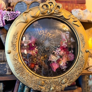 May include: A circular gold-toned frame with ornate floral and ribbon detailing, enclosing a glass display. Inside, two moth specimens are positioned among a collection of dried pink and red flowers, all set against a delicate spider web.