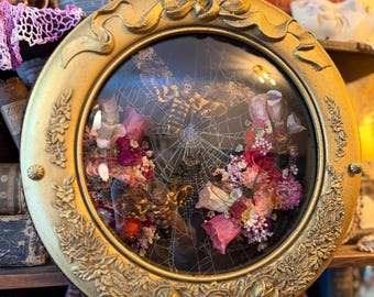 Vintage Bubble Glass Insect Frame “Catherine de' Médicis”