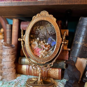 May include: An oval-shaped gold-toned metal frame with an ornate border, mounted on a swivel stand. Inside the glass display are preserved butterfly specimens, including a large black and white patterned butterfly and a small blue butterfly.