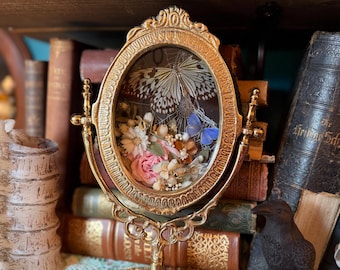 Flat Glass Insect Art Shadowbox, Butterflies, Orbital web