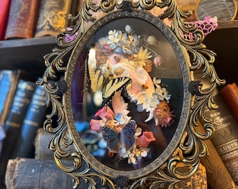 Vintage Bubble Glass Shadowbox Insect Art, Swallowtail, Skulls, Pink Art