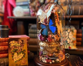 Insect Cloche Terrarium “Prodigious”