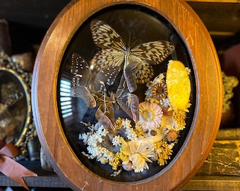 Vintage Bubble Glass Insect Frame “Aboretum”