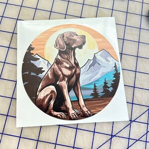 May include: A brown and white dog sits in a mountain landscape with a sunset in the background. The dog is looking to the right of the image. The mountains are in the background and have snow on them. There are trees in the foreground.