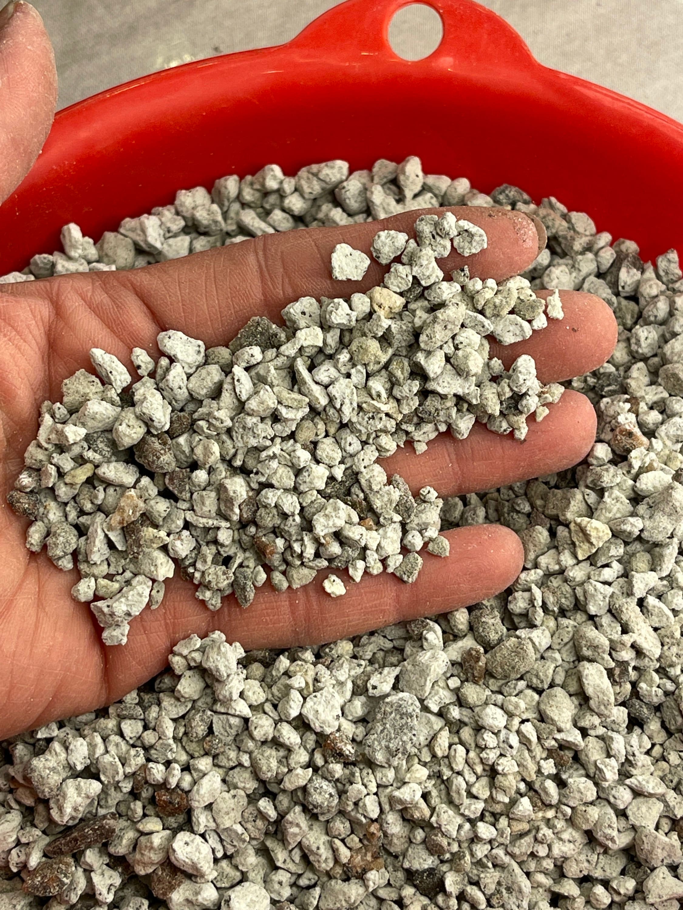 Pumice Stones for Cactus Succulent and Bonsai soil mix Etsy